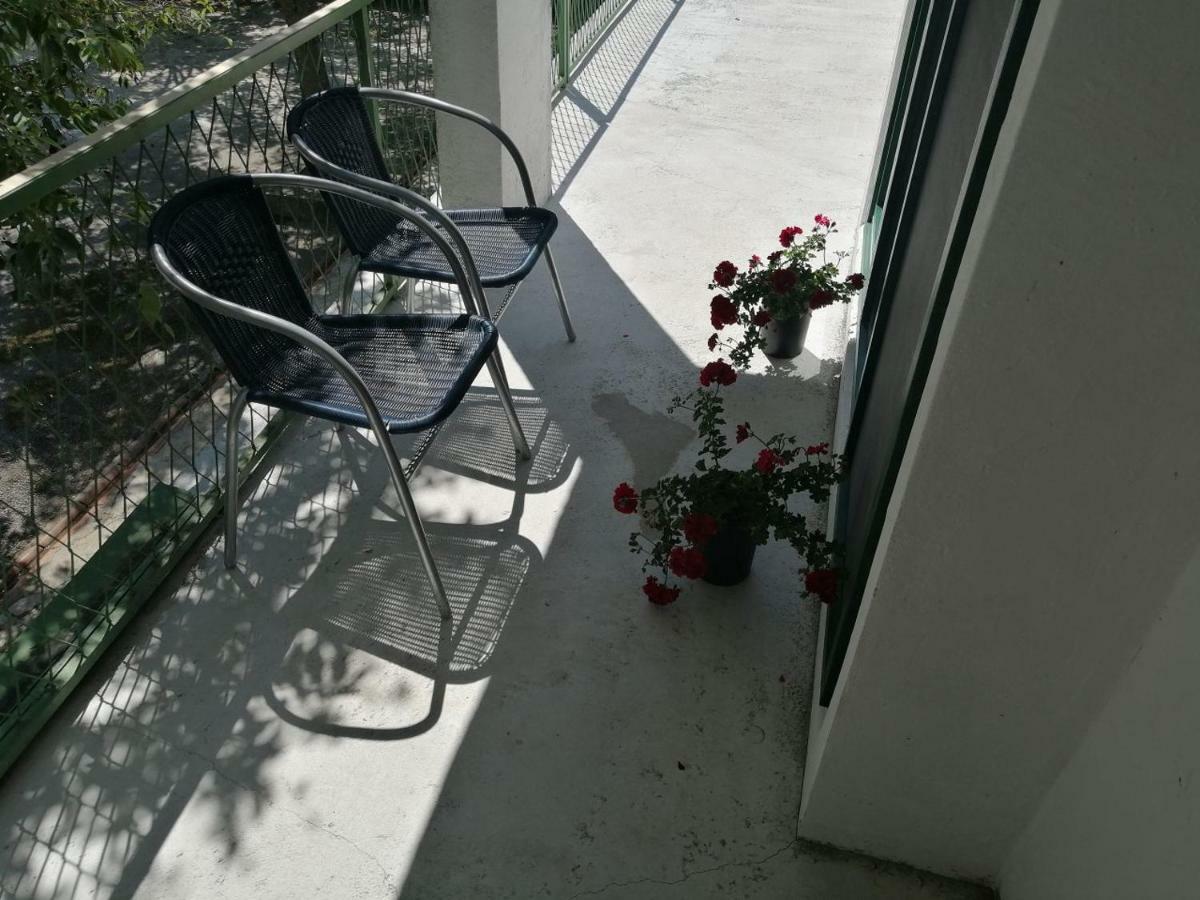 Apartman Milica Golubic  Exterior photo